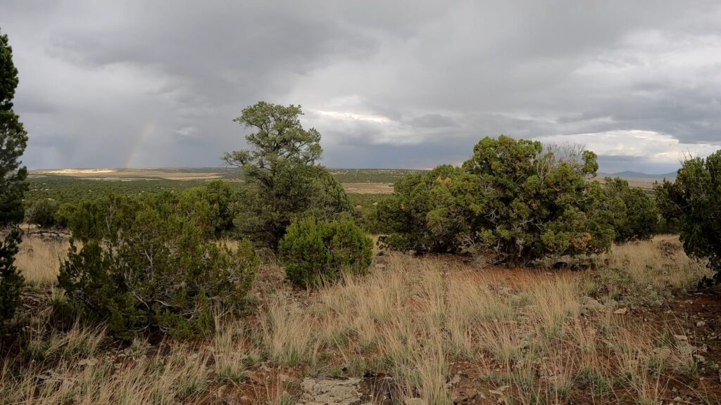 Windsor Valley and the White Mountains