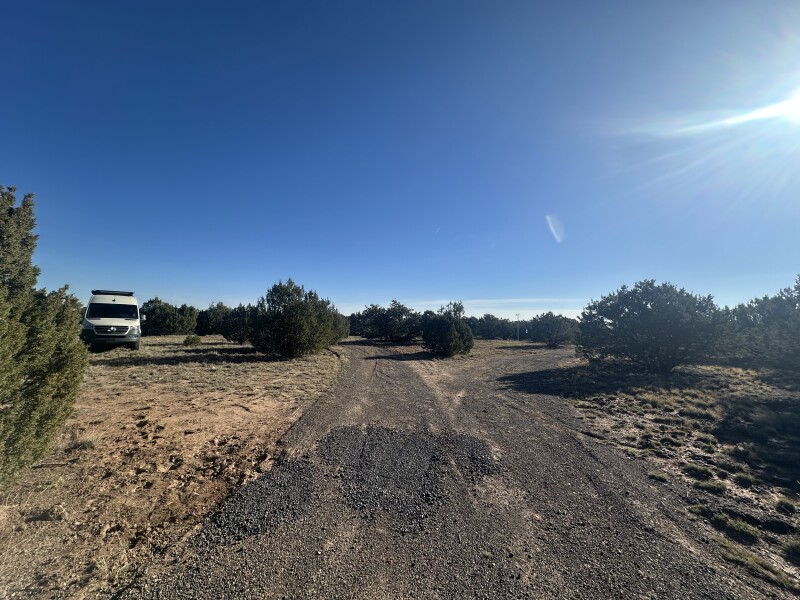 Halloween visitor, no trick, but a nice treat!